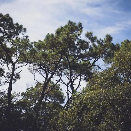 La Cote De Lumiere Ξενοδοχείο 2*