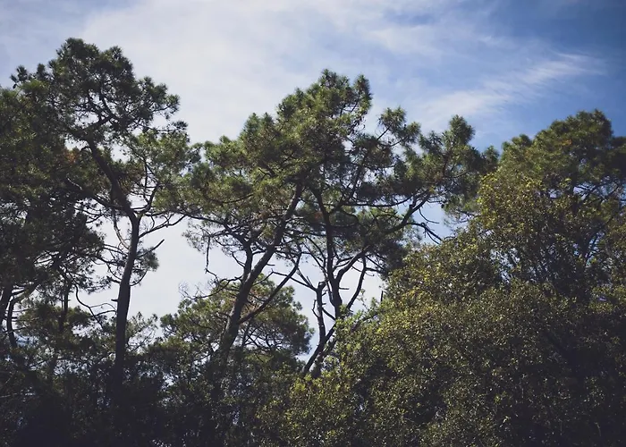 La Cote De Lumiere Szálloda 2*